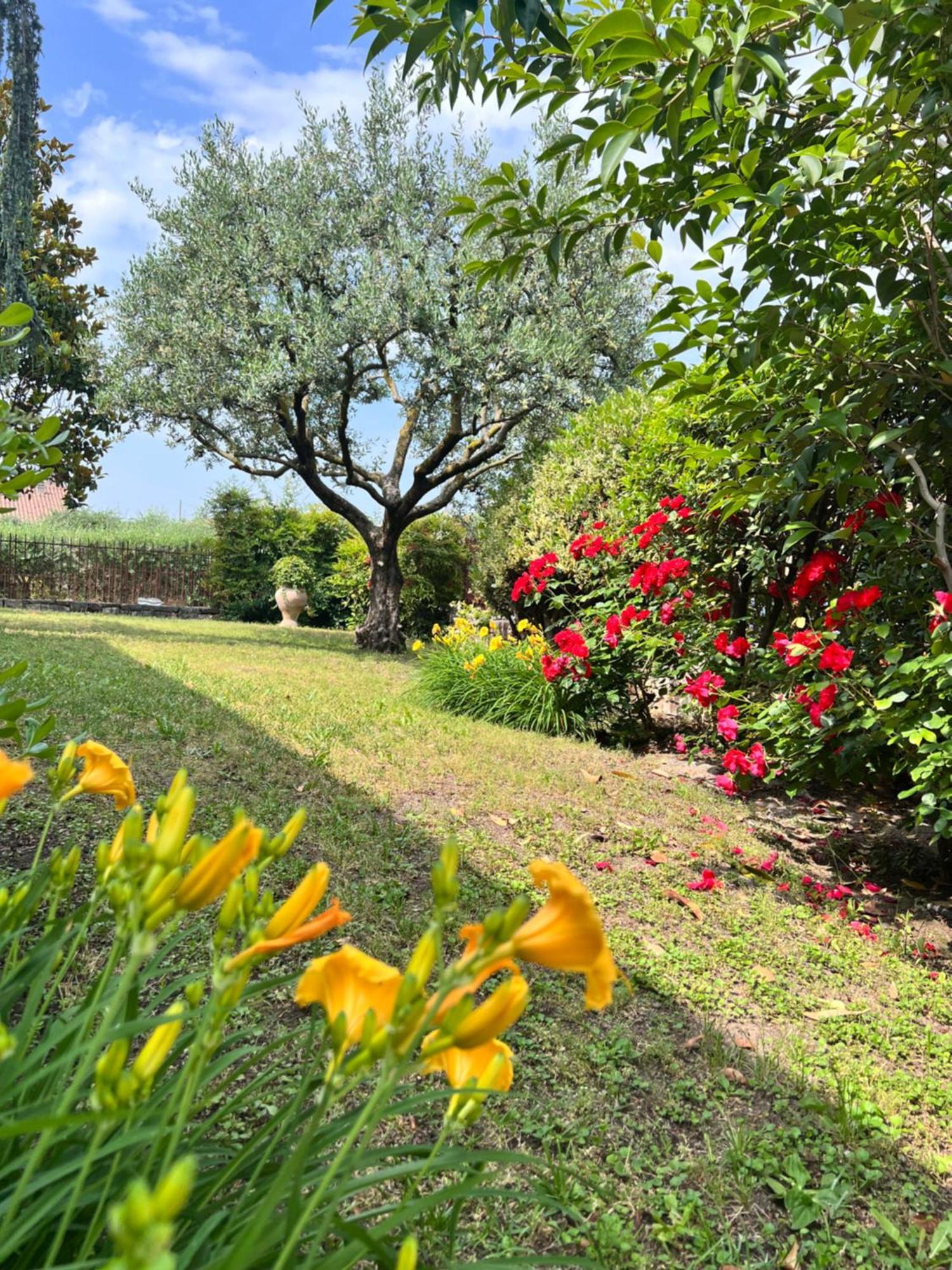 לינה וארוחת בוקר SantʼAmbrogio di Valpolicella Residenza Borgo San Rocco מראה חיצוני תמונה